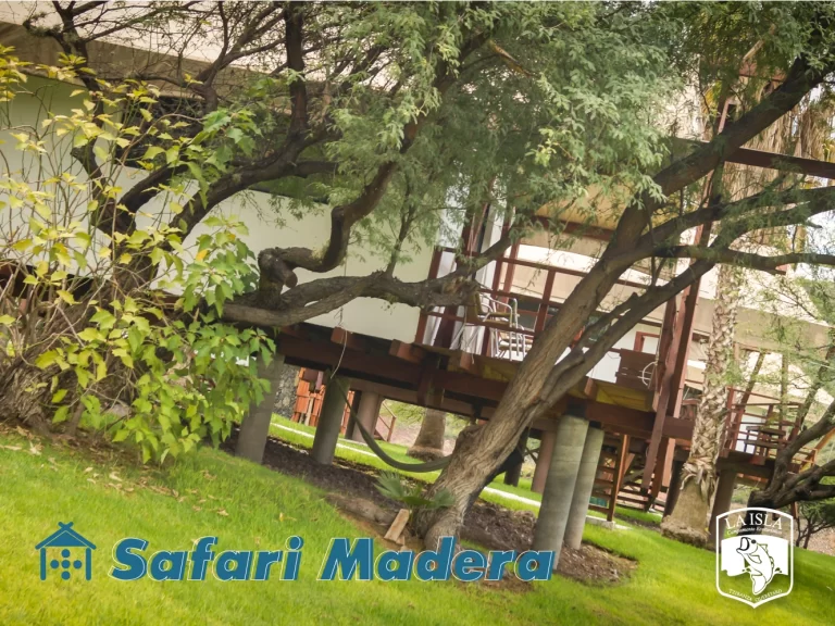 Safari-Madera-5-Personas-9